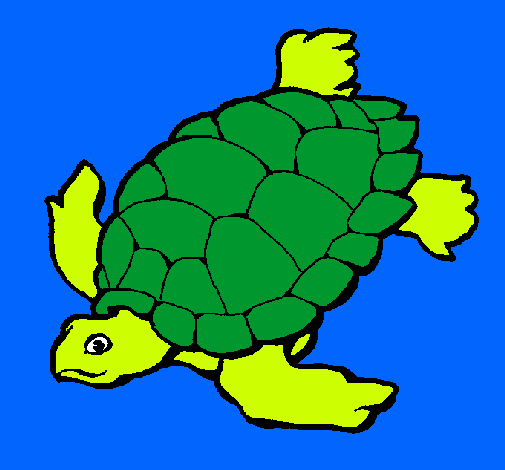 Dibujo Tortuga pintado por 9andres9