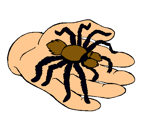 Tarántula