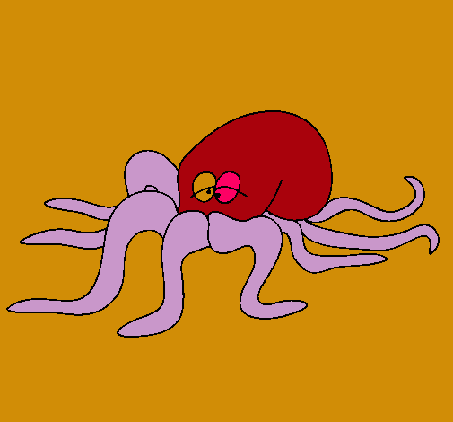 Pulpo