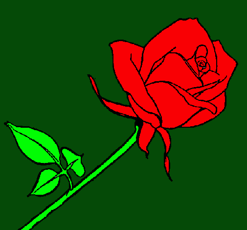 Dibujo Rosa pintado por alice