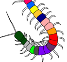 Dibujo Ciempiés pintado por benji