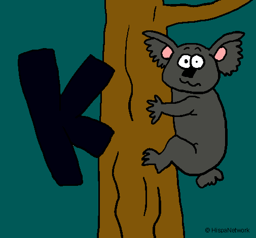 Koala