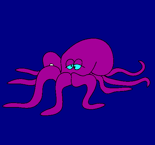 Pulpo