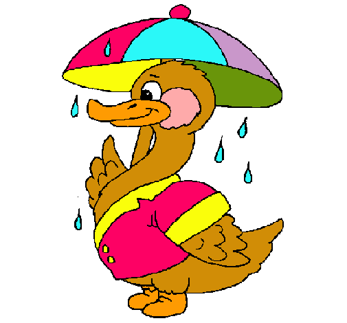 Pato bajo la lluvia