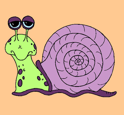 Caracol