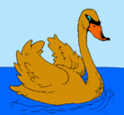 Dibujo Cisne en el agua pintado por marco