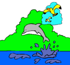 Dibujo Delfín y gaviota pintado por iman