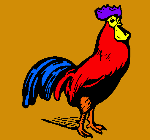 Gallo gallardo