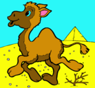 Dibujo Camello pintado por gonzalo