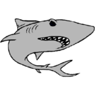 Dibujo Tiburón pintado por amaury