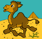 Dibujo Camello pintado por lauralm