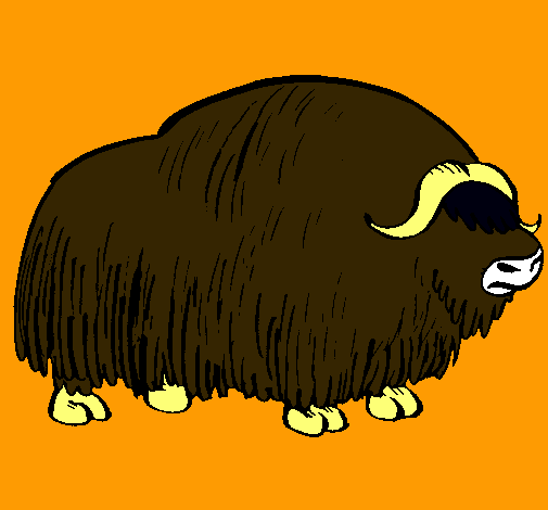 Bisonte