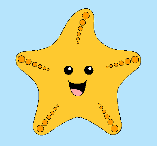 Estrella de mar