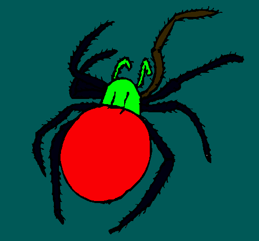 Araña venenosa