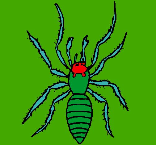 Araña tigre