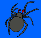 Dibujo Araña venenosa pintado por marvc