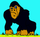 Dibujo Gorila pintado por telm