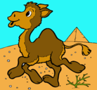 Dibujo Camello pintado por nisi