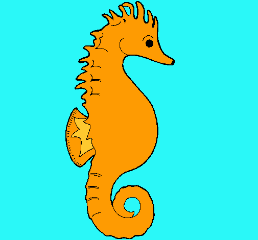 Caballito de mar