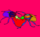 Dibujo Escarabajos pintado por ASHLEY