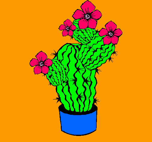 Flores de cactus