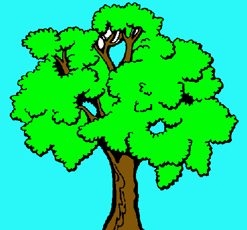 Árbol