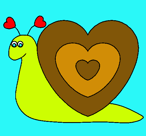 Caracol corazón