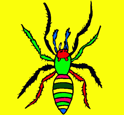 Araña tigre