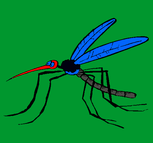 Mosquito