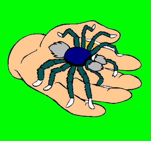 Tarántula