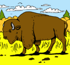 Dibujo Búfalo  pintado por ALVARO
