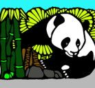Dibujo Oso panda y bambú pintado por bastian17