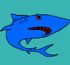 Dibujo Tiburón pintado por harry