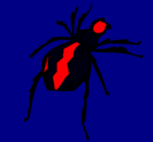 Dibujo Araña viuda negra pintado por marc
