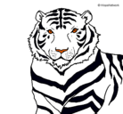 Dibujo Tigre pintado por xulo
