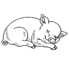 Dibujo Cerdo durmiendo pintado por osornio