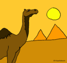 Dibujo Camello pintado por Xmiku-hats
