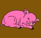 Dibujo Cerdo durmiendo pintado por omariyo