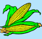 Dibujo Mazorca de maíz pintado por kfvnrk