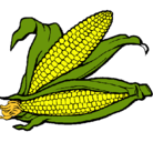Dibujo Mazorca de maíz pintado por PFFS