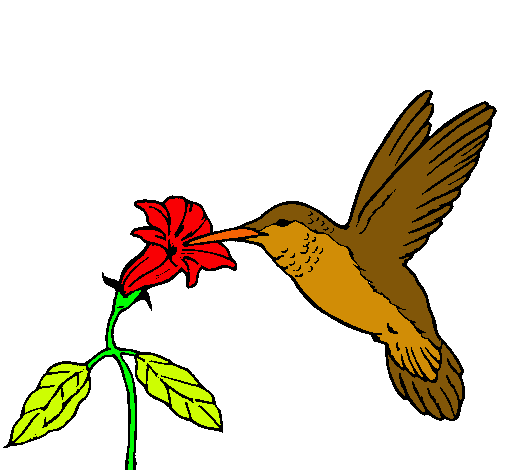 Colibrí y una flor