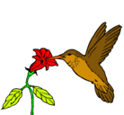 Dibujo Colibrí y una flor pintado por pepa 