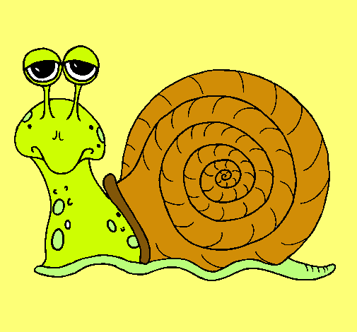 Caracol