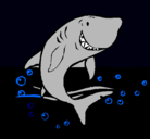 Dibujo Tiburón pintado por sonicx