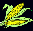 Dibujo Mazorca de maíz pintado por dibujos