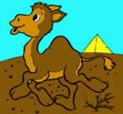 Dibujo Camello pintado por viki