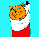 Dibujo Gato dentro de una calcetín pintado por yessi