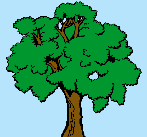 Árbol