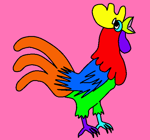 Gallo