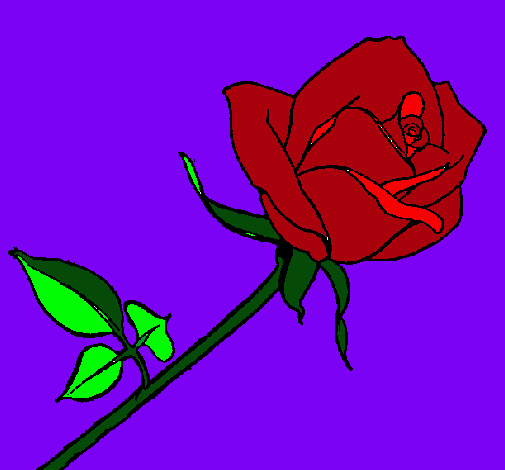 Dibujo Rosa pintado por Yolotzin_eyes